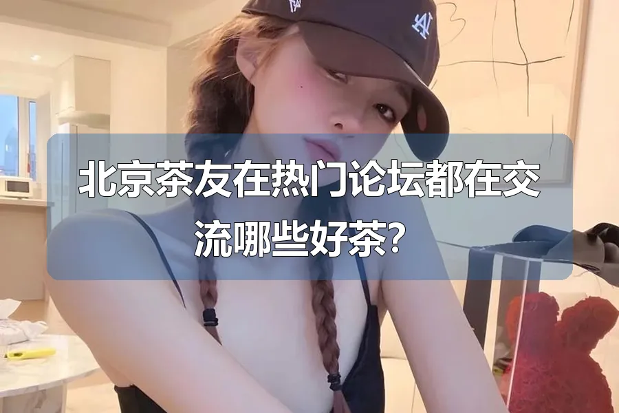 北京茶友在热门论坛都在交流哪些好茶?